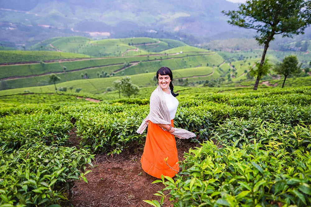 View of Lockhart Tea Plantation in Munnar, Kerala - #munnar #kerala #india