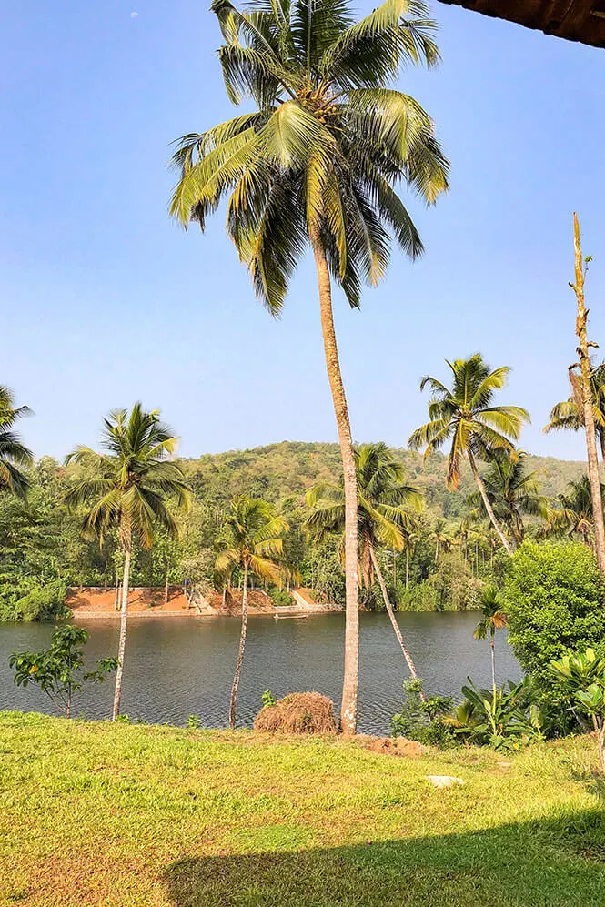 View of the River Periyar from Windermere River House in Neriamangalam -#kerala #india
