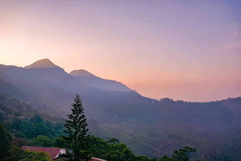 Sunrise view over tea plantations in Munnar - #munnar #kerala #india