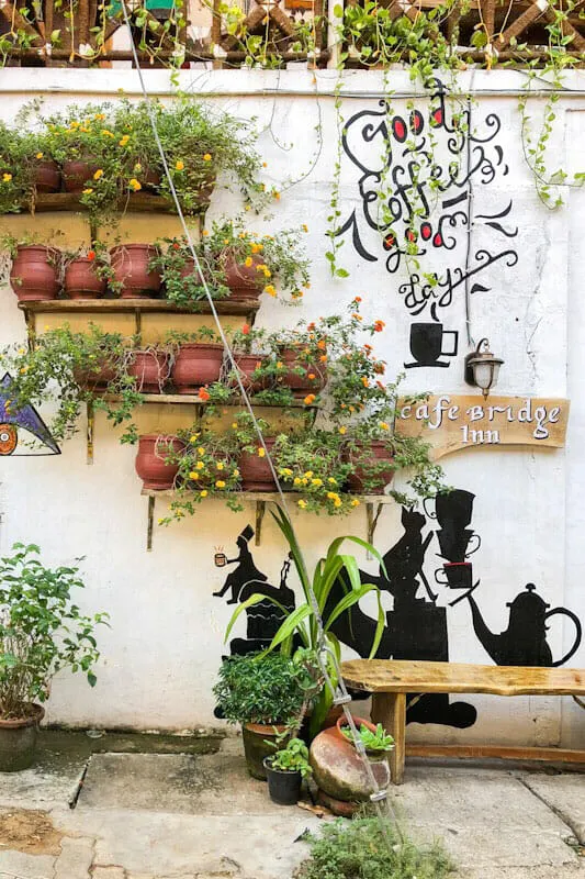 Flower and plant pots outside the Cafe Bridge Inn in Kochi