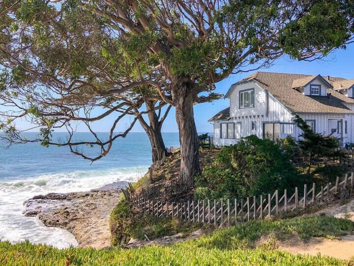 House on the edge of the coast with two large tree outside and the ocean below it
