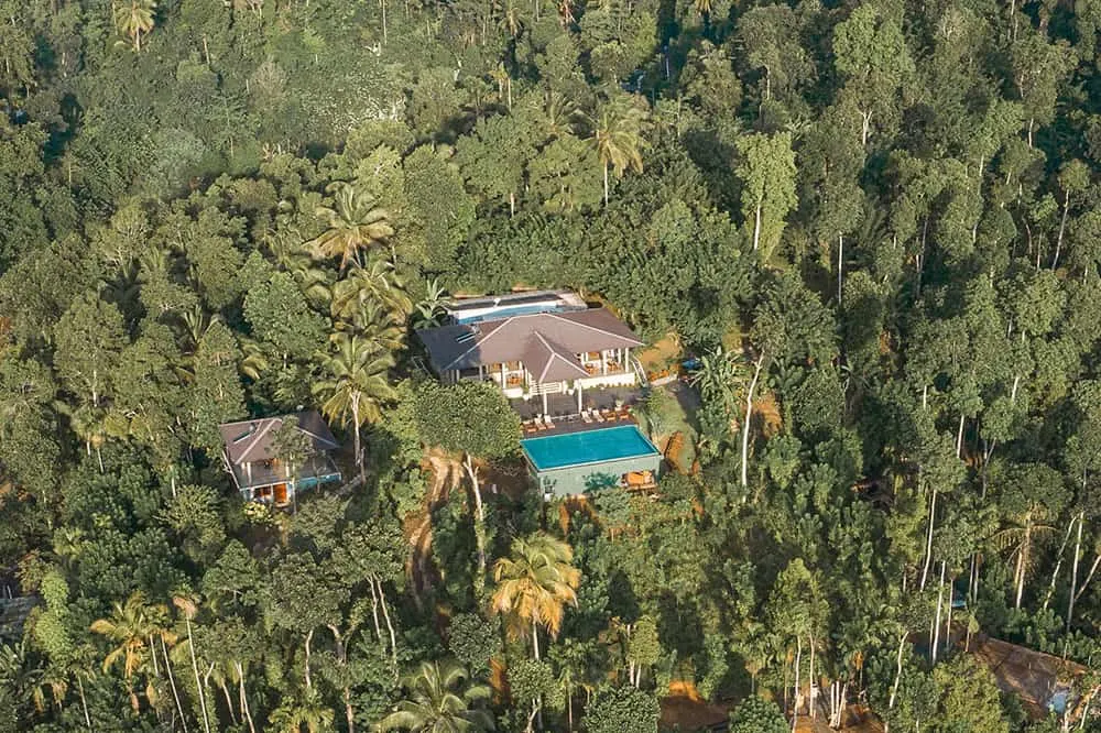 Arial View of building with swimming pool in the middle of the jungle