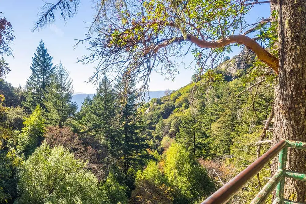 View point from a mountain with thick woods over the side of another mountain