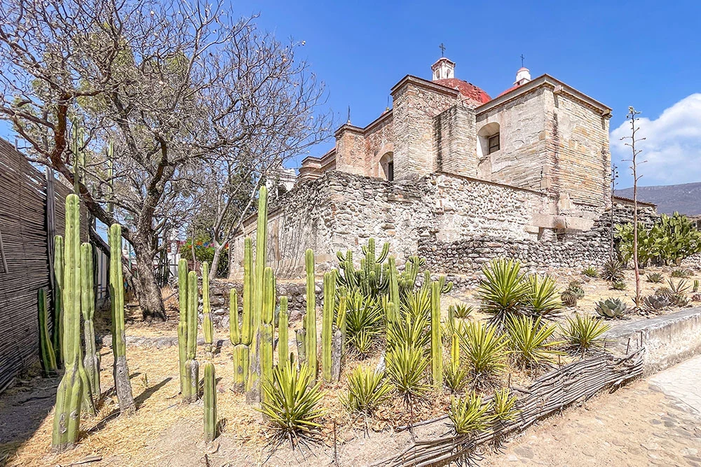 San Pablo Church in Mitla, Mexico, with cacti and bare trees in the foreground. Stone walls, red tile roof, and uneven texture are visible in sunlight.