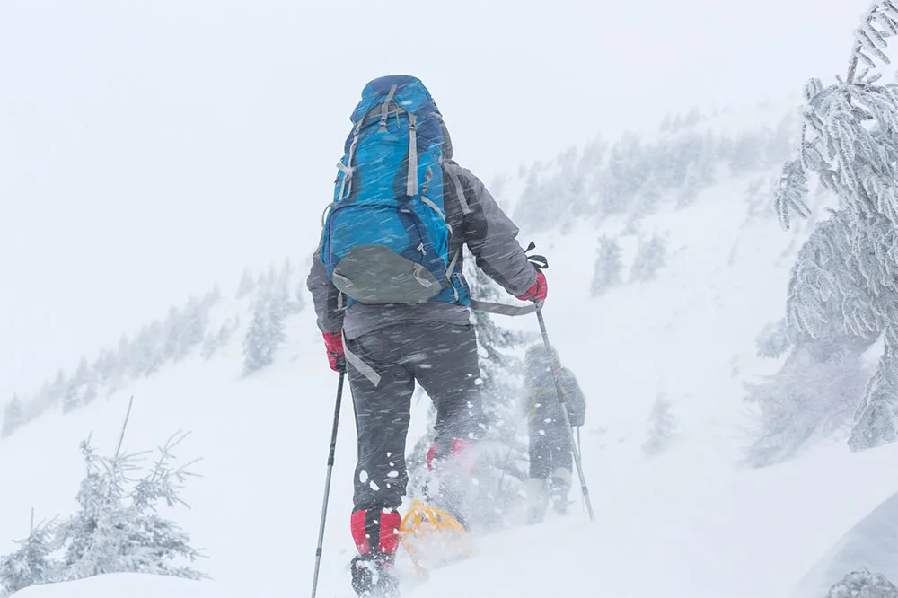 Two people hiking on a snow covered slope surrounded by trees with strong snow winds under white skies.
