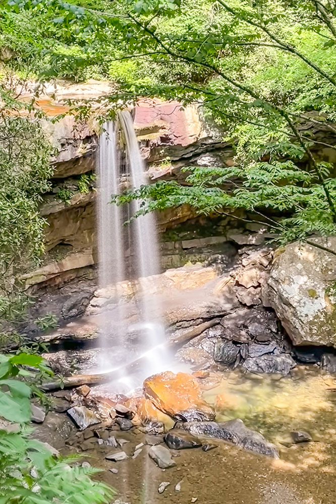 A small fall flowing from a pile of rocs surrounded by lush vegetation in the day.