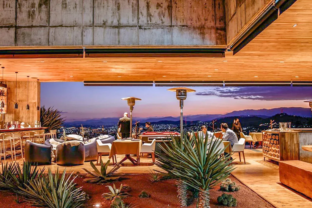 A restaurant with wooden walls, ceilings, and furniture with people dining and a bar on the side. In the center is a small garden with plants and a view of the outdoors during sunset