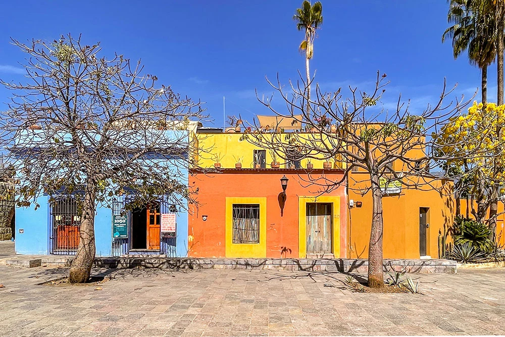 Two bright colored painted houses of blue. yellow, and orange with two front trees and potted plants on top of them under clear blue skies in Oaxaca Mexico