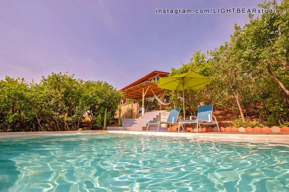 A clear pool with some benches on the poolside surrounded by tall bushes under clear blue skies