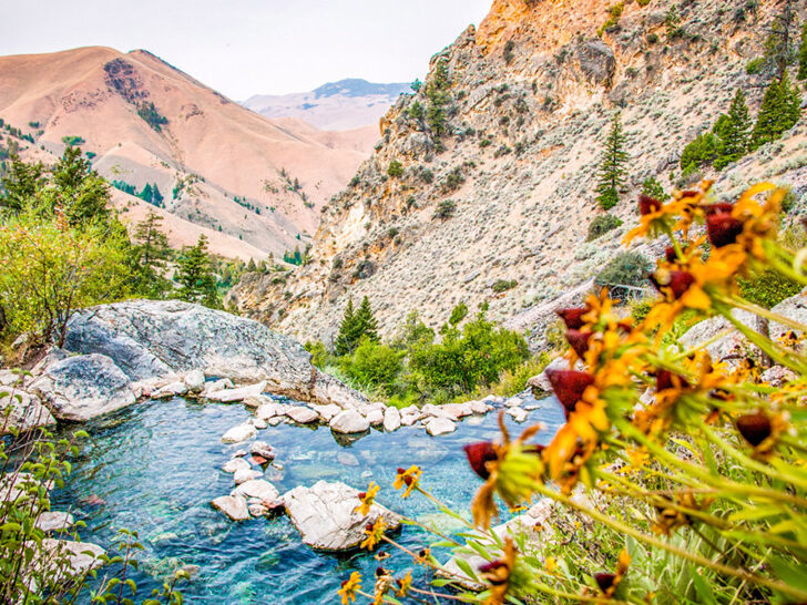 Red flowers in the foreground with the view of the clear cascading river and mountain hills of the Goldbug Hot Springs, a hidden gem in Santa Barbara