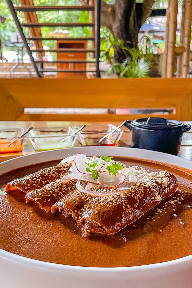 Enmoladas, a variation of enchiladas, served on a deep white plate soaked in mole sauce topped with sesame sauce and onions