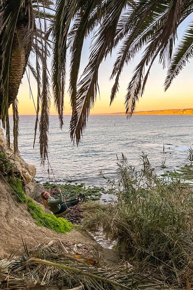 Beach view from shore, framed by tall grass and palm trees, with a horizon of vibrant orange hues, located at La Jolla Swing, one of the best hidden gems in Southern California.