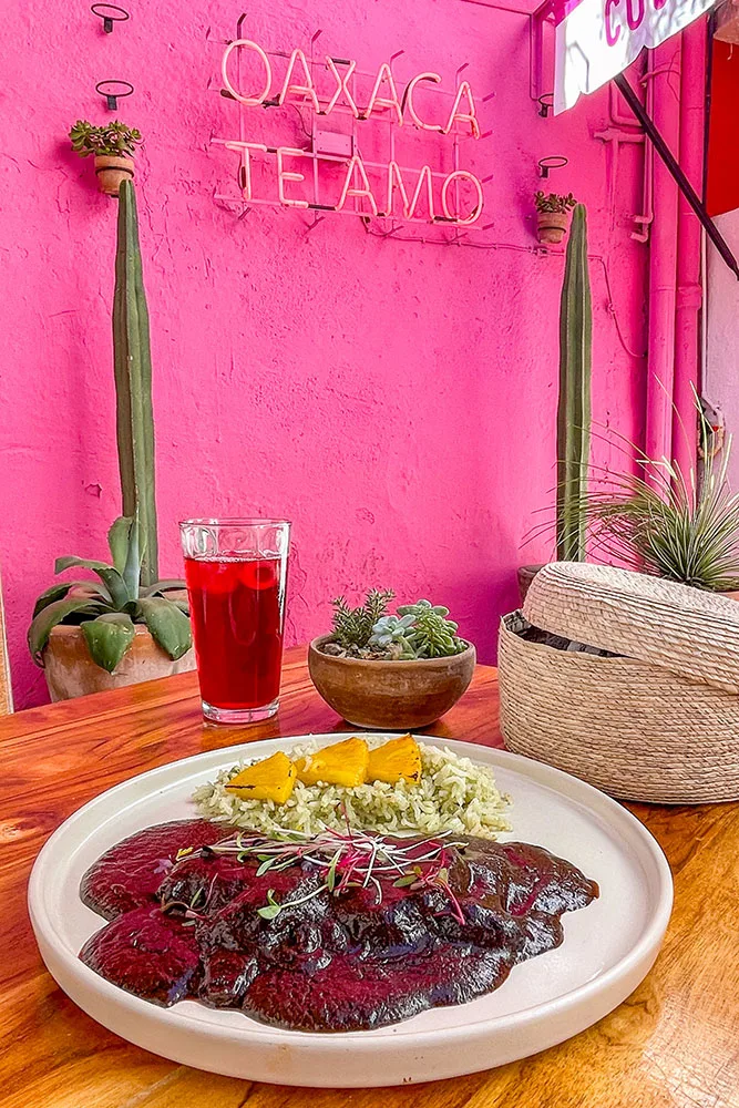 The traditional Mexican food Mole served with a side of rice tipped with pineapple slices. On the wooden table, there is a glass of red iced drink, small plant, and a covered basket.