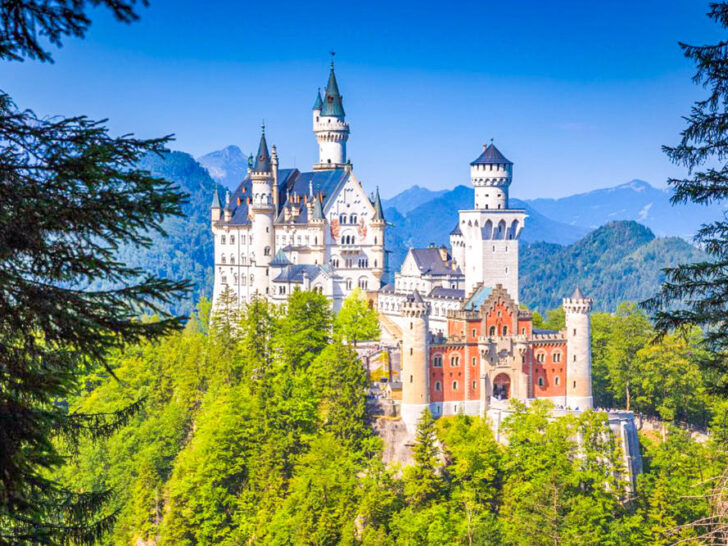 Neuschwanstein Castle in Bavaria, Germany, perched on a forested hill with the Alps in the background, a fairytale-style palace overlooking lush green landscapes